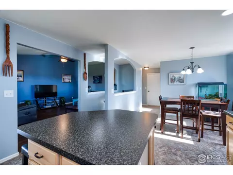 704 Rivendell Ct, Pierce, CO 80650 photo 10