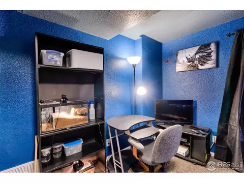 704 Rivendell Ct, Pierce, CO 80650 photo 30