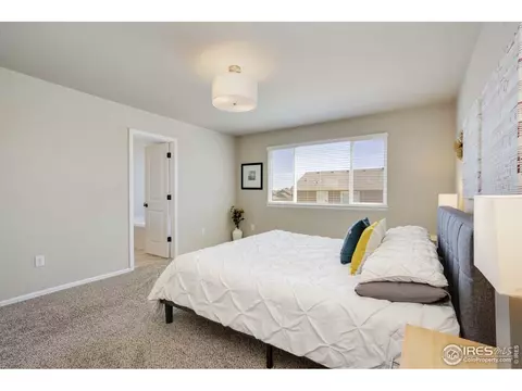 530 El Diente Ave, Windsor, CO 80550 photo 19