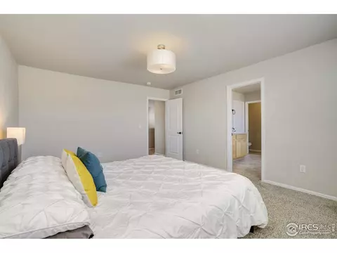 530 El Diente Ave, Windsor, CO 80550 photo 20