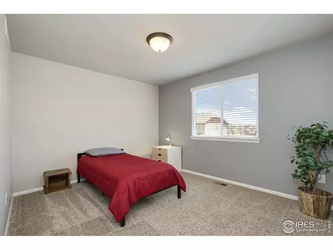 530 El Diente Ave, Windsor, CO 80550 photo 28