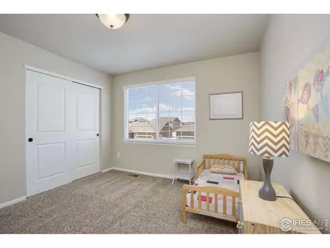530 El Diente Ave, Windsor, CO 80550 photo 27
