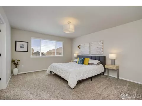 530 El Diente Ave, Windsor, CO 80550 photo 18