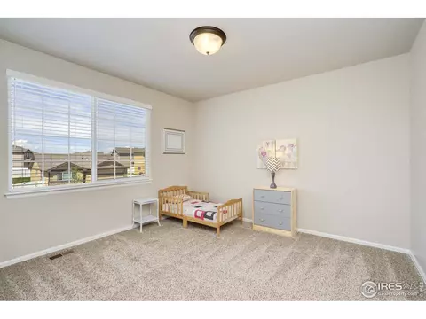 530 El Diente Ave, Windsor, CO 80550 photo 26