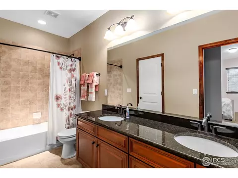 5675 Summerlyn Ct, Windsor, CO 80550 photo 27