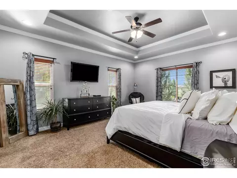 5675 Summerlyn Ct, Windsor, CO 80550 photo 10