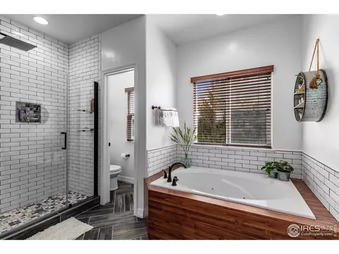 5675 Summerlyn Ct, Windsor, CO 80550 photo 15