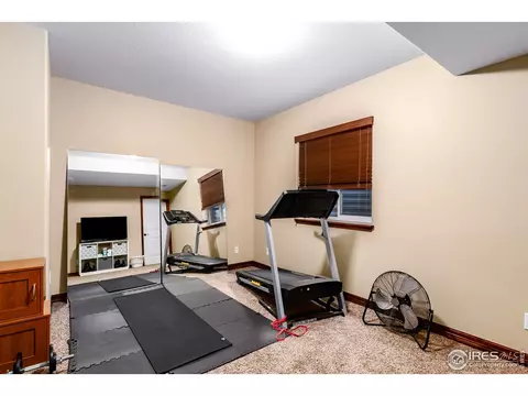 5675 Summerlyn Ct, Windsor, CO 80550 photo 28