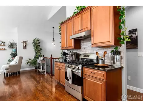 5675 Summerlyn Ct, Windsor, CO 80550 photo 7