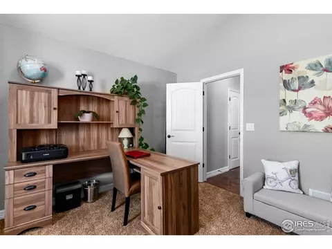 5675 Summerlyn Ct, Windsor, CO 80550 photo 18