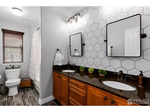5675 Summerlyn Ct, Windsor, CO 80550 photo 21