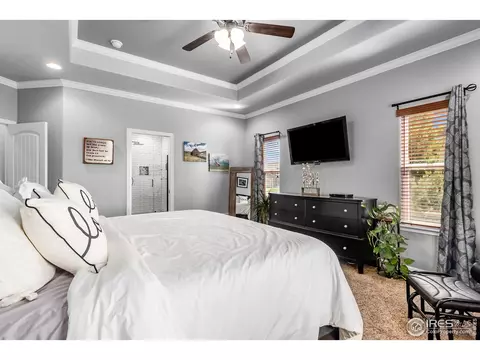 5675 Summerlyn Ct, Windsor, CO 80550 photo 14