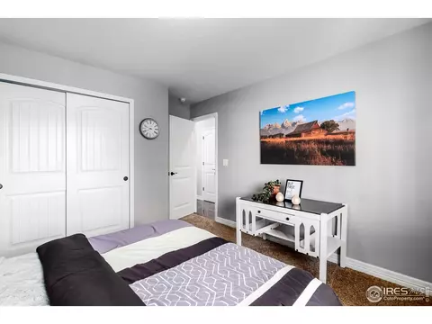 5675 Summerlyn Ct, Windsor, CO 80550 photo 20