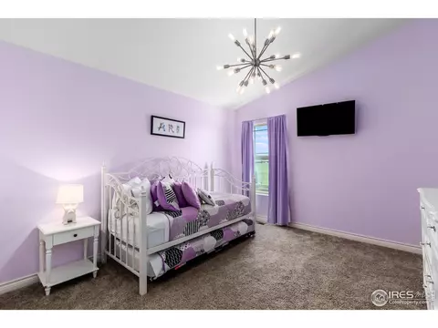 37160 Dickerson Run, Severance, CO 80550 photo 23
