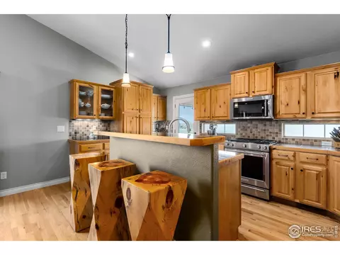 37160 Dickerson Run, Severance, CO 80550 photo 16