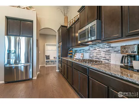 2127 Longfin Ct, Windsor, CO 80550 photo 9