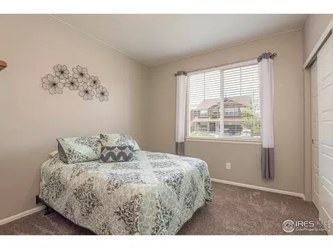 2127 Longfin Ct, Windsor, CO 80550 photo 24