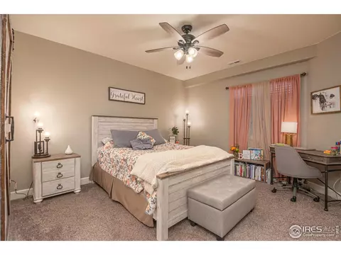 2127 Longfin Ct, Windsor, CO 80550 photo 23