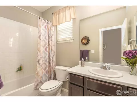 2127 Longfin Ct, Windsor, CO 80550 photo 26