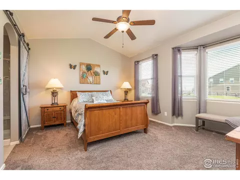 2127 Longfin Ct, Windsor, CO 80550 photo 18