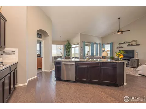 2127 Longfin Ct, Windsor, CO 80550 photo 10