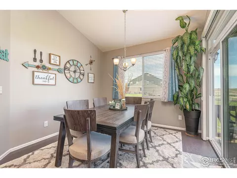 2127 Longfin Ct, Windsor, CO 80550 photo 14