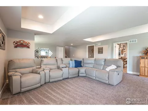 2127 Longfin Ct, Windsor, CO 80550 photo 29