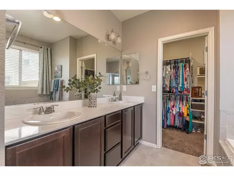 2127 Longfin Ct, Windsor, CO 80550 photo 20
