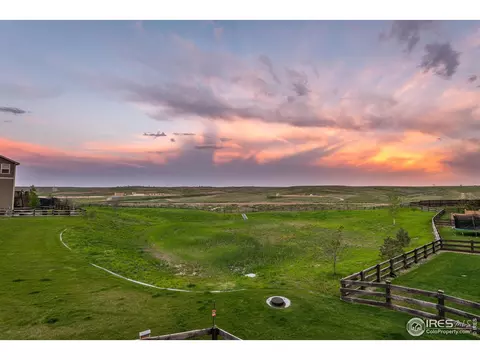 2127 Longfin Ct, Windsor, CO 80550 photo 36