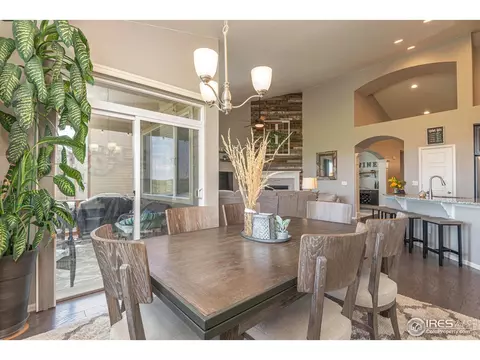 2127 Longfin Ct, Windsor, CO 80550 photo 13