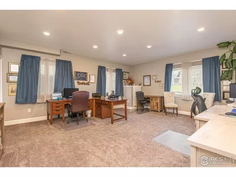 2127 Longfin Ct, Windsor, CO 80550 photo 30