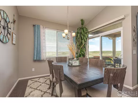 2127 Longfin Ct, Windsor, CO 80550 photo 11
