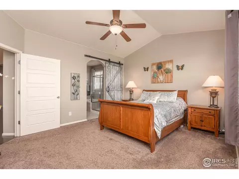 2127 Longfin Ct, Windsor, CO 80550 photo 19