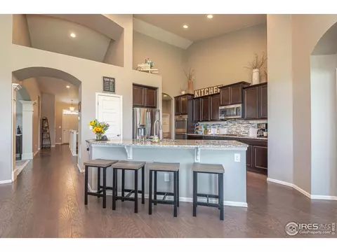 2127 Longfin Ct, Windsor, CO 80550 photo 12
