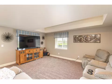2127 Longfin Ct, Windsor, CO 80550 photo 28