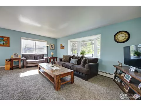 216 Antelope Dr, Lyons, CO 80540 photo 11