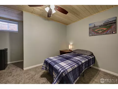 216 Antelope Dr, Lyons, CO 80540 photo 26