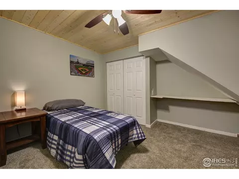216 Antelope Dr, Lyons, CO 80540 photo 30