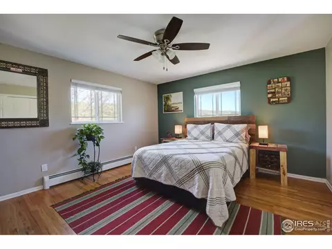 216 Antelope Dr, Lyons, CO 80540 photo 16