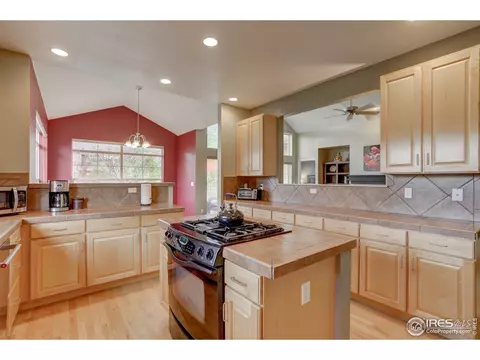 118 Noland Ct, Lyons, CO 80540 photo 11