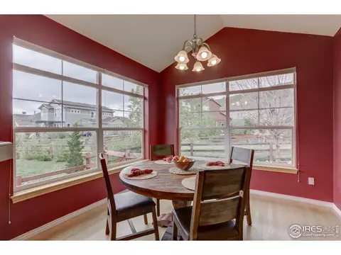 118 Noland Ct, Lyons, CO 80540 photo 9