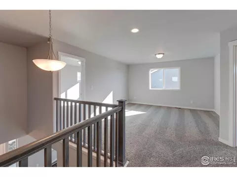2168 Crop Row Dr, Windsor, CO 80550 photo 16