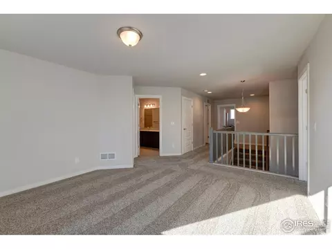 2168 Crop Row Dr, Windsor, CO 80550 photo 15