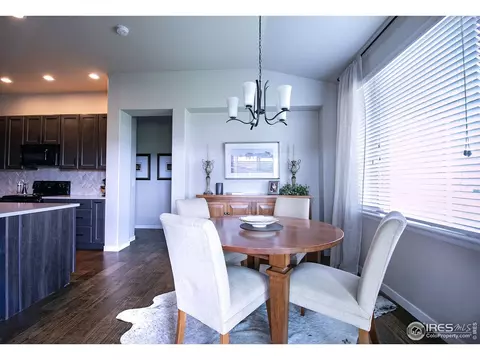 916 Barn Yard Dr, Windsor, CO 80550 photo 9