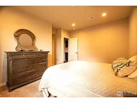916 Barn Yard Dr, Windsor, CO 80550 photo 21