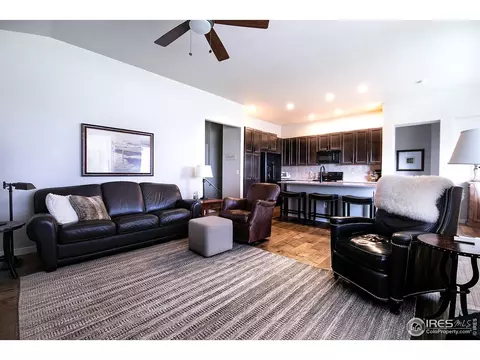 916 Barn Yard Dr, Windsor, CO 80550 photo 10