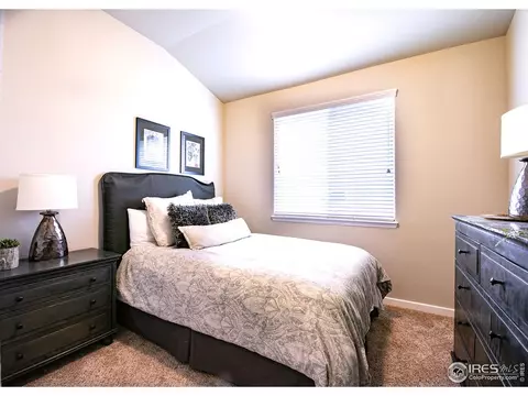 916 Barn Yard Dr, Windsor, CO 80550 photo 15