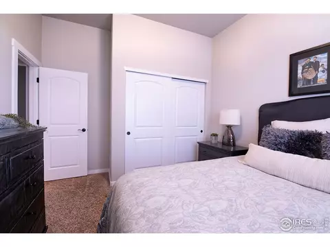 916 Barn Yard Dr, Windsor, CO 80550 photo 14