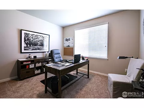 916 Barn Yard Dr, Windsor, CO 80550 photo 16