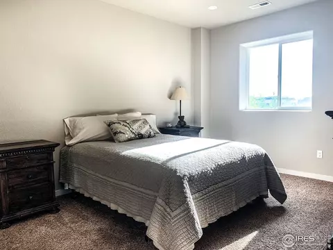 916 Barn Yard Dr, Windsor, CO 80550 photo 22